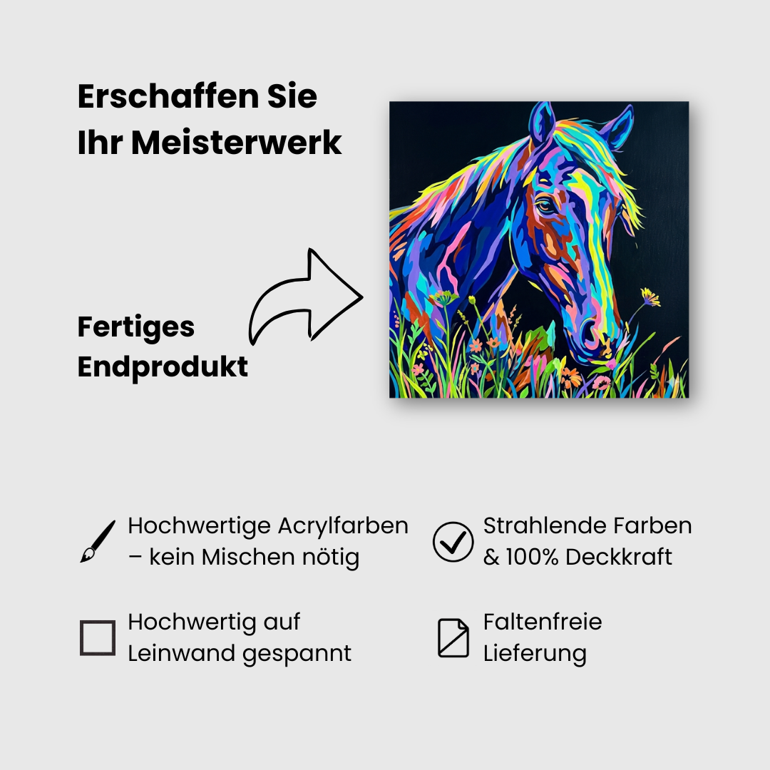 Malen nach Zahlen für Erwachsene: Edles Pferde Motiv als Premium Set